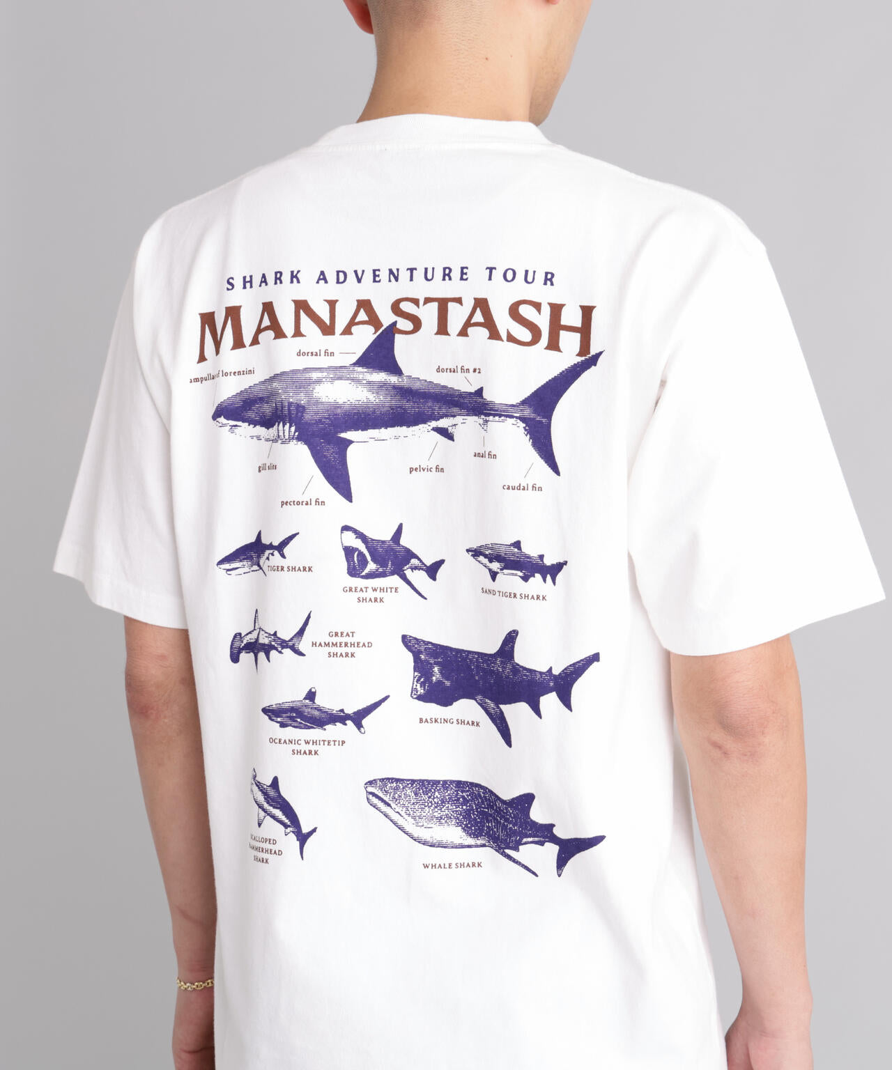 MANASTASH/マナスタッシュ/PUMICE TEE SHARK