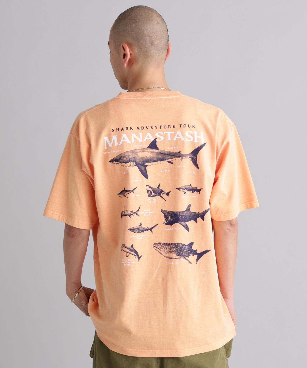 MANASTASH/マナスタッシュ/PUMICE TEE SHARK